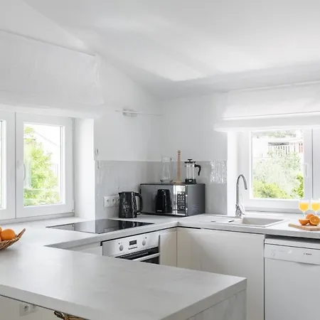 Apartman In Arbanija With Sea View, Terrace, Air Conditioning, Wifi 5139-5
