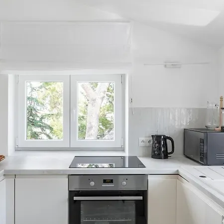 Apartman In Arbanija With Sea View, Terrace, Air Conditioning, Wifi 5139-5 Trogir